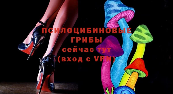 стафф Магадан