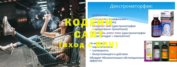 амф Апатиты