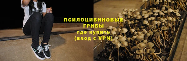стафф Магадан